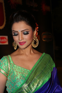 Adaa Khan in saree at Gemini awards 2016 008